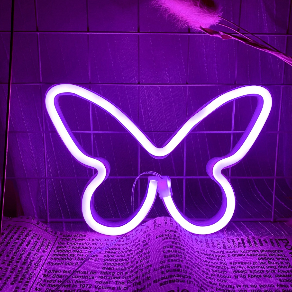 Wedding Power Supply - Luzes de néon de borboleta LED,